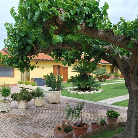 Le Terre Di Bac Bed & Breakfast Borgo Montenero Exterior photo