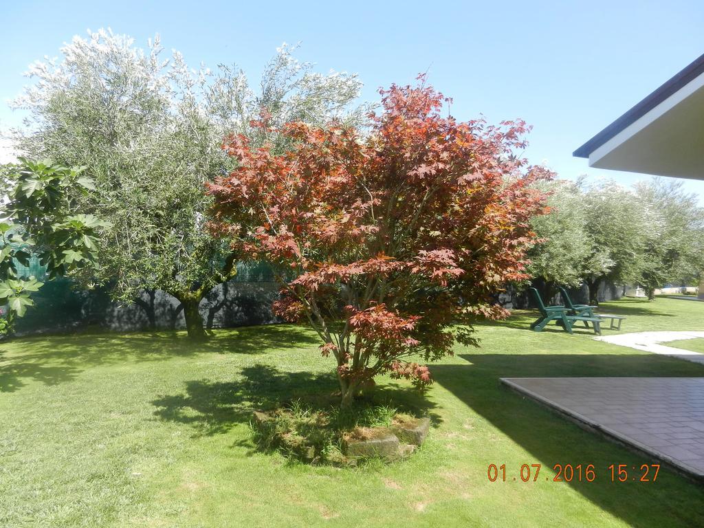 Le Terre Di Bac Bed & Breakfast Borgo Montenero Exterior photo