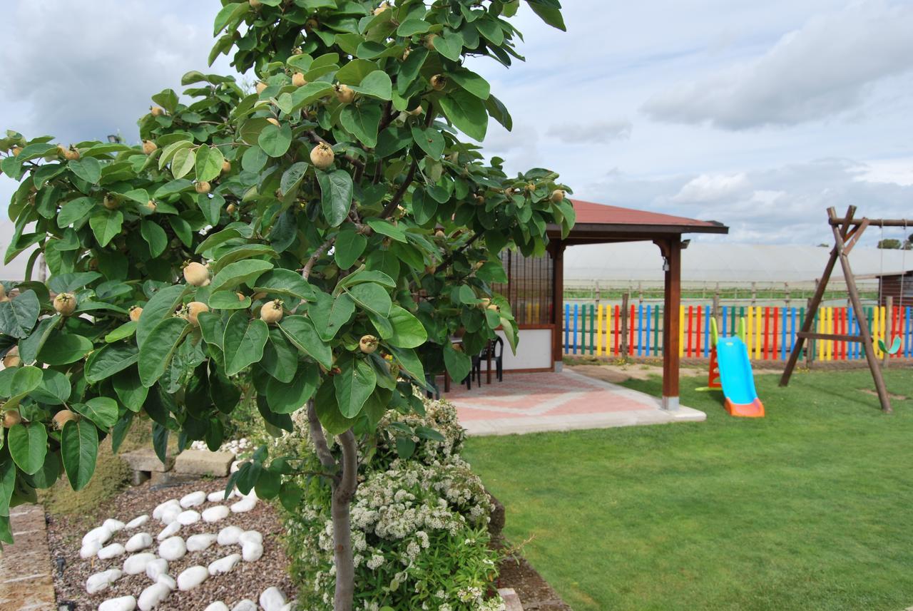 Le Terre Di Bac Bed & Breakfast Borgo Montenero Exterior photo